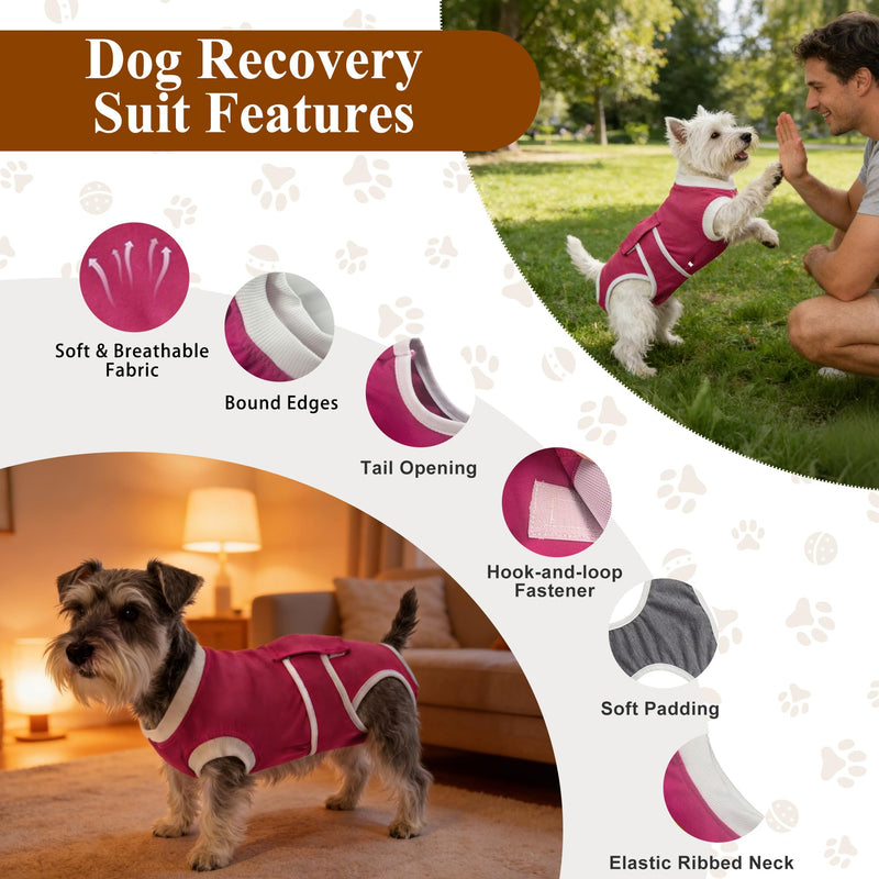 Dog Body After Surgery for Female and Males, Surgical Body Dog Castration Protection & Lick Protection Dog Bodysuit, Soft Surgical Protective Suit Alternative to Funnel for Small Medium Dogs