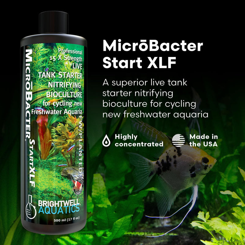 Brightwell Aquatics MicroBacter Start XLF - Concentrated Freshwater Nitrifying Bacteria - Quick Start Fish Tank Starter, Lift Microbe Levels & Water Filtering - Aquarium Water Treatments, 16.9 fl oz 500-ml - PawsPlanet Australia