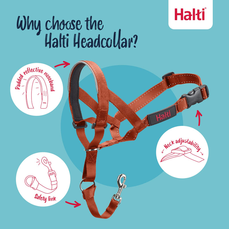 HALTI Headcollar - to Stop Your Dog Pulling on The Leash. Adjustable, Reflective and Lightweight, with Padded Nose Band. Dog Training Anti-Pull Collar for Medium Dogs (Size 2, Burnt Orange) - PawsPlanet Australia