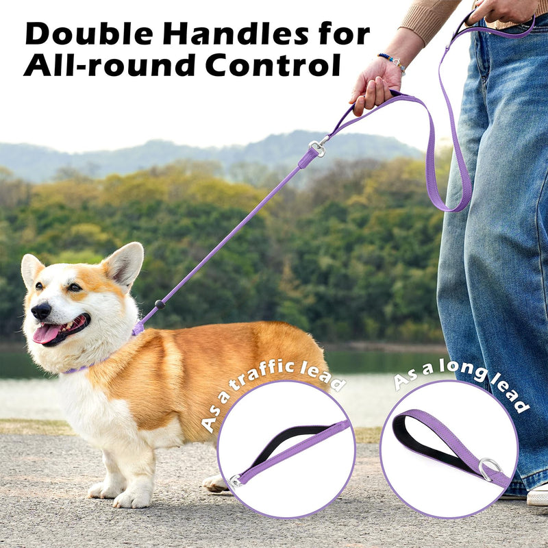 6FT Slip Lead Dog Leash with Double Padded Handle, Anti-Tangle Slip Leads for Dogs, Reflective Nylon No-Pull Training Leash for Small Medium Dogs, Purple 6 Feet - PawsPlanet Australia