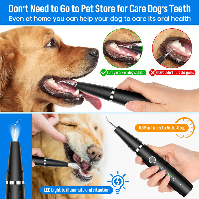 Ultrasonic Dog Teeth Cleaning Kit for Pet Teeth Cleaning, Dog Plaque Remover for Teeth, 5 Modes Dog Tartar Remover for Teeth Care to Remove Stains Calculus, 10 in 1 Pet Cleaner Toothbrush (Black) Black - PawsPlanet Australia
