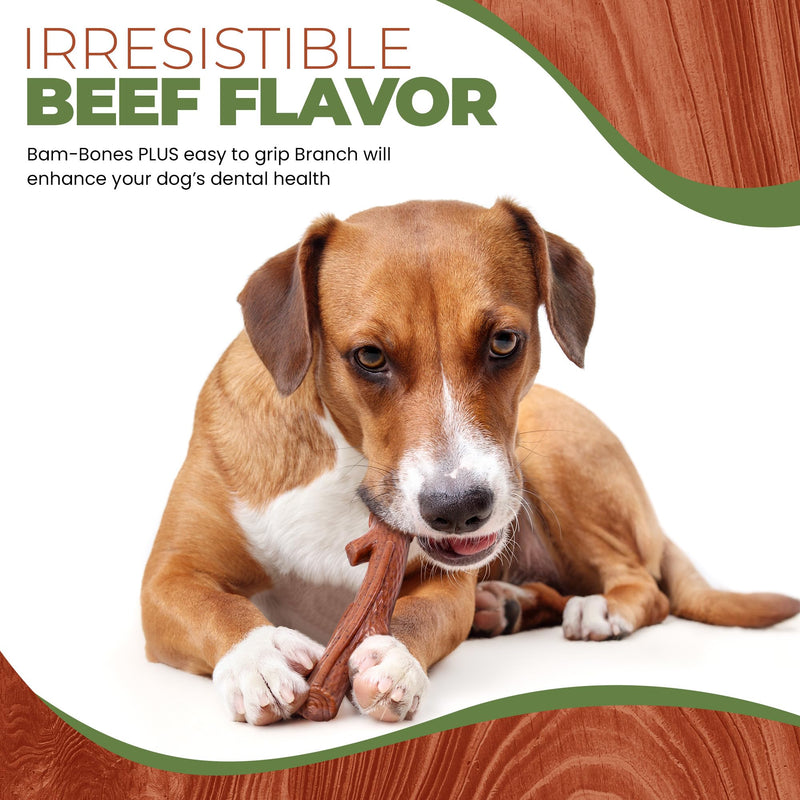 SPOT Bam-bones PLUS Branch -Bamboo Fiber & Nylon, Durable Long Lasting Dog Chew for Aggressive Chewers – Great Toy for Adult Dogs & Teething Puppies under 60lbs, Non-Splintering, 5.75in, Beef Flavor Medium - PawsPlanet Australia