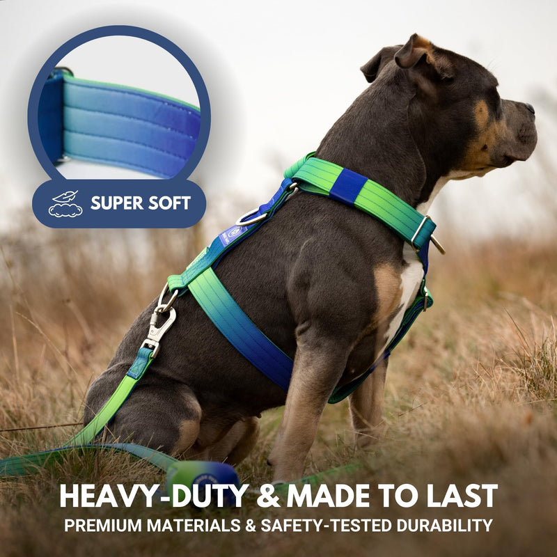 Spark Paws No Pull Dog Harness for Large Dogs, Heavy Duty Dog Harness for Big Strong Breeds, Adjustable, Y Shaped Padded Halter Design with Front Clip - Lime Wave - M Size M [50-85lbs] - PawsPlanet Australia