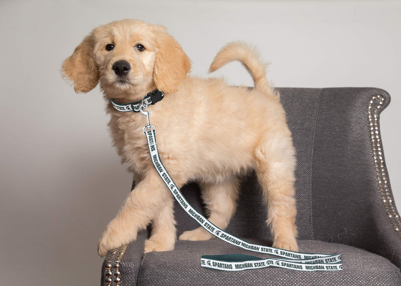 Pets First Collegiate Pet Accessories, Dog Leash, Michigan State Spartans, Small - PawsPlanet Australia
