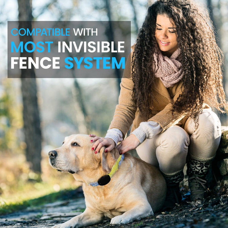 ECollar Replacement Strap - Compatible with Major Brands Including Petsafe, Sportdog, Invisible Fence Shock Collar Replacement Collar, Invisible Fence Compatible Collar (Patriot, Large) Patriot - PawsPlanet Australia