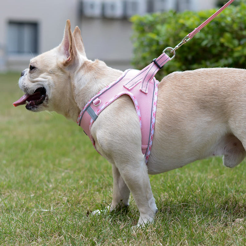 Mercano Soft Mesh Dog Harness and Leash Set, No-Chock Step-in Reflective Breathable Lightweight Easy Walk Escape Proof Vest Harnesses with Safety Buckle for Small Medium Dogs, Cats (Pink, S) Pink - PawsPlanet Australia