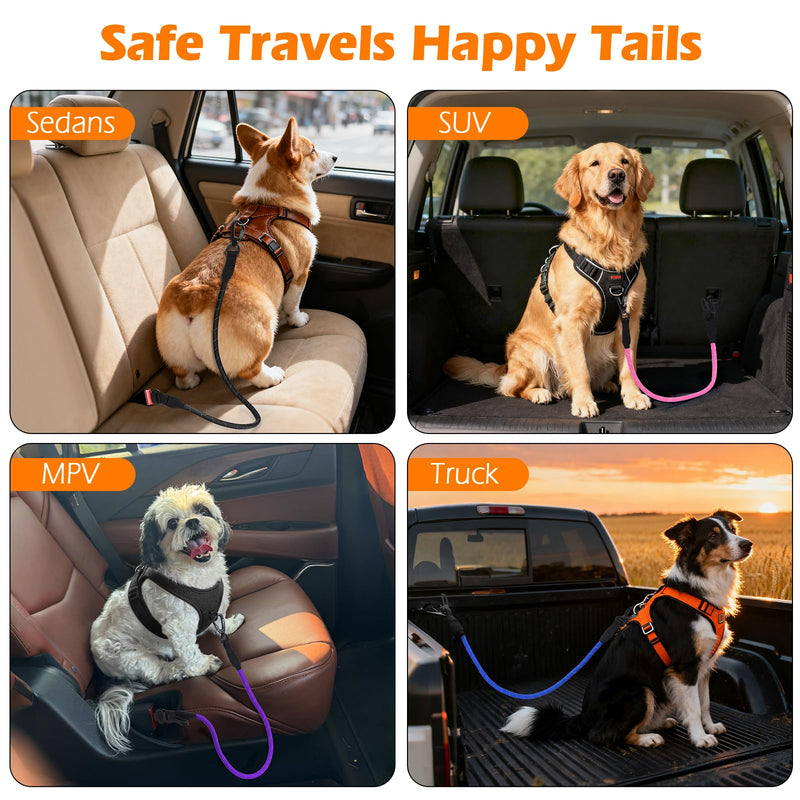 PetBonus Dog Seat Belt for Car, Durable Rope Dog Car Harness Seatbelt for Vehicle, Pet Tether Safety Restraint with Heavy Duty Buckle Hook Latch Lockable Clip for Small Medium Large Breeds (Purple) Purple