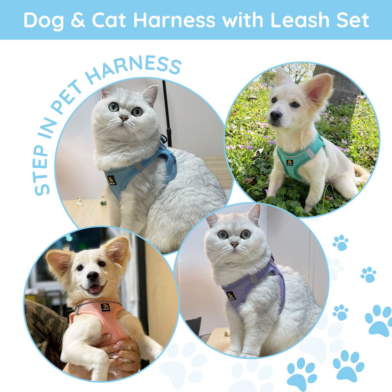 BELLA & PAL Step in Vest Harness for Small and Medium Dogs, No Pull Small Dog Harness with Leash Set, Comfortable Air Mesh Dog Vest Harness with Reflective Strip S Sky Blue - PawsPlanet Australia