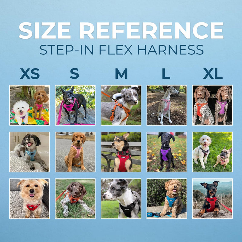 Best Pet Supplies Voyager Adjustable Dog Vest Harness Breathable No Pull Harness for Small, Medium, Large Dogs, Harness for Walking, Jogging, Easy Step-in, Reflective Stripes - Turquoise, S Harness (Turquoise) S (Chest: 15 - 18") - PawsPlanet Australia