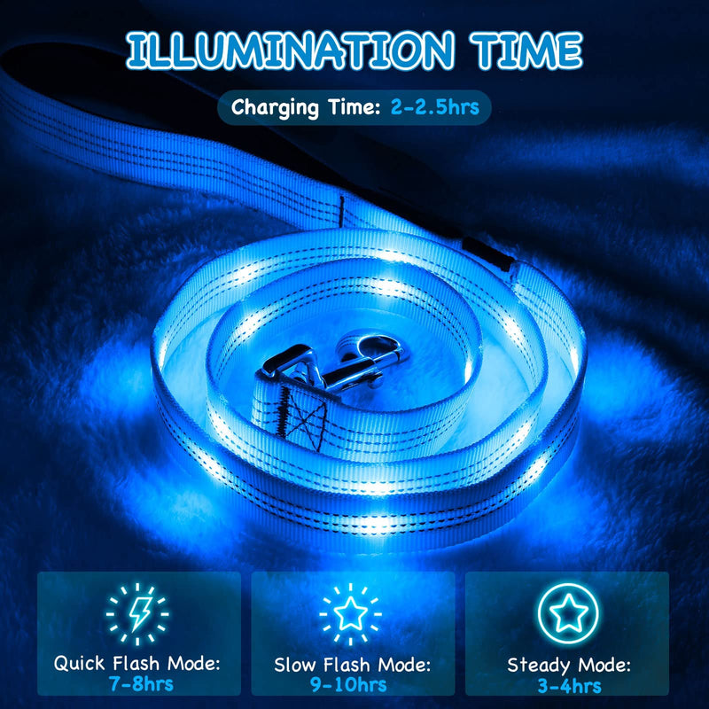 Weesiber Glowing Light Up LED Dog Leash - 4ft USB Rechargeable Flashing Nylon Leash for Small Medium Large Dogs, 3 Flash Modes Blue - PawsPlanet Australia