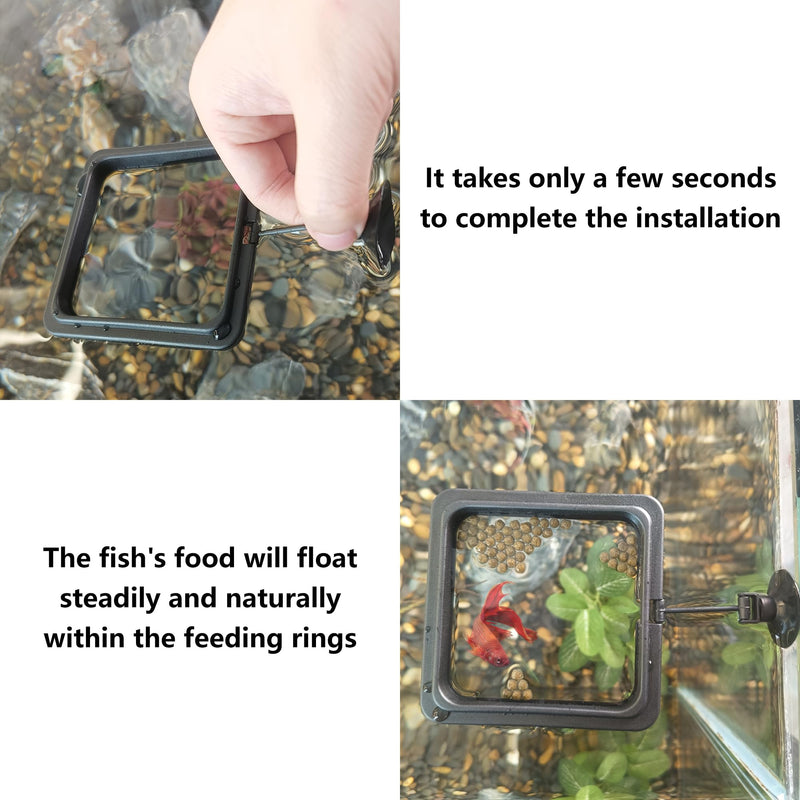 FREESEA Fish Feeding Ring for Aquarium: Square Betta Floating Feeding Ring for Fish tank - PawsPlanet Australia