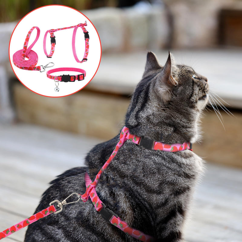 2 Pack Cat Harness and Leash with Collar Set, Adjustable Kitten Harness Escape Proof for Small Medium Cat Safe Walking and Travel, Lightweight Soft Comfortable - PawsPlanet Australia
