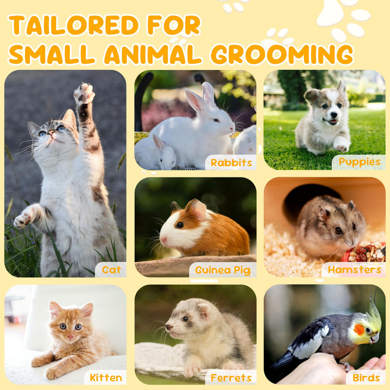 Cat Nail Clipper, Claw Trimmer Made of Stainless Steel, Clean Cut, No Shred, Mirror Finish. Small Animal Nail Clippers for Cats, Kittens, Bunny, Puppy, Rabbit, Gatos, and More - PawsPlanet Australia