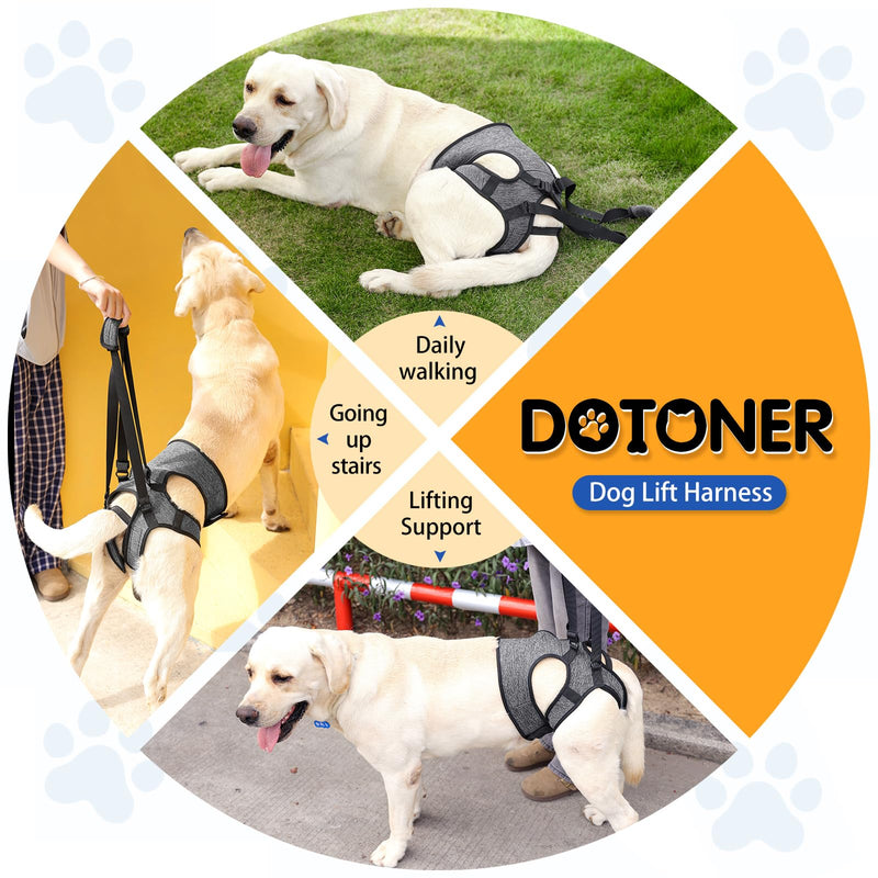 Dotoner Dog Lift Harness, Adjustable Support Sling for Back Legs, Adjustable Carrier for Injured Disabled Large Medium Small Dogs, Rear Leg Brace Assistance XL Grey