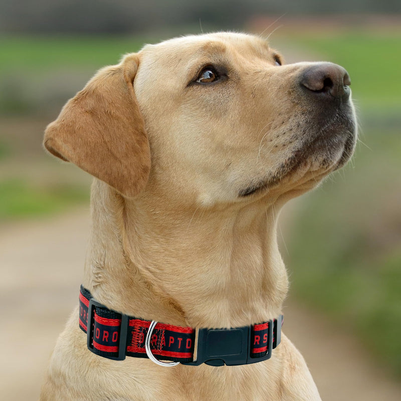 New & Improved Pets First NBA Toronto Raptors Dog & Cat Collar, Size Large Basketball Team Collar - PawsPlanet Australia