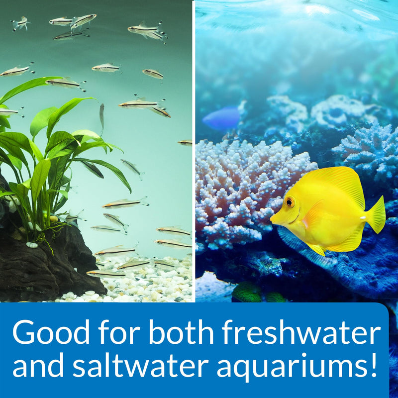 API STRESS ZYME Freshwater and Saltwater Aquarium Cleaning Solution 16-Ounce Bottle 16 oz multi natural