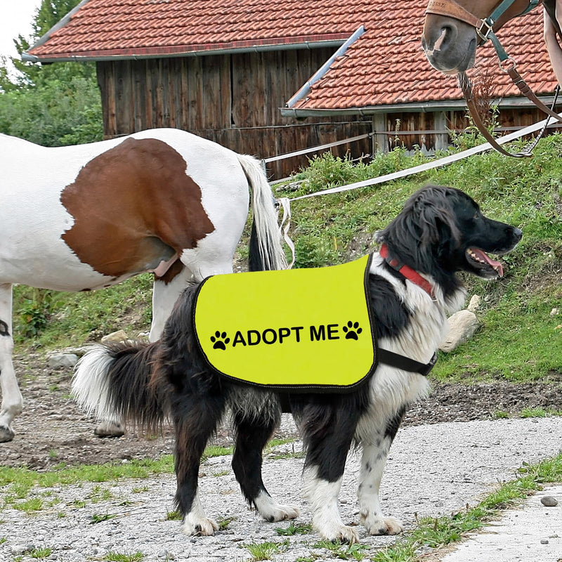 Rescue Dog Jacket Vest Adopt Me Dog Vest Foster Dog Slogan Vest (Adopt Me-Large) Adopt Me-Large - PawsPlanet Australia