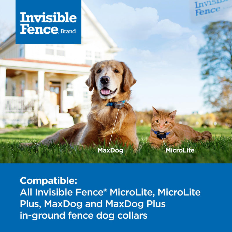 Invisible Fence Brand Power Cap Battery - Replacement Dog Collar Batteries for Microlite, Microlite Plus MaxDog, and MaxDog Plus In-Ground Fence Collars, 2-Pack 2 Pack - PawsPlanet Australia