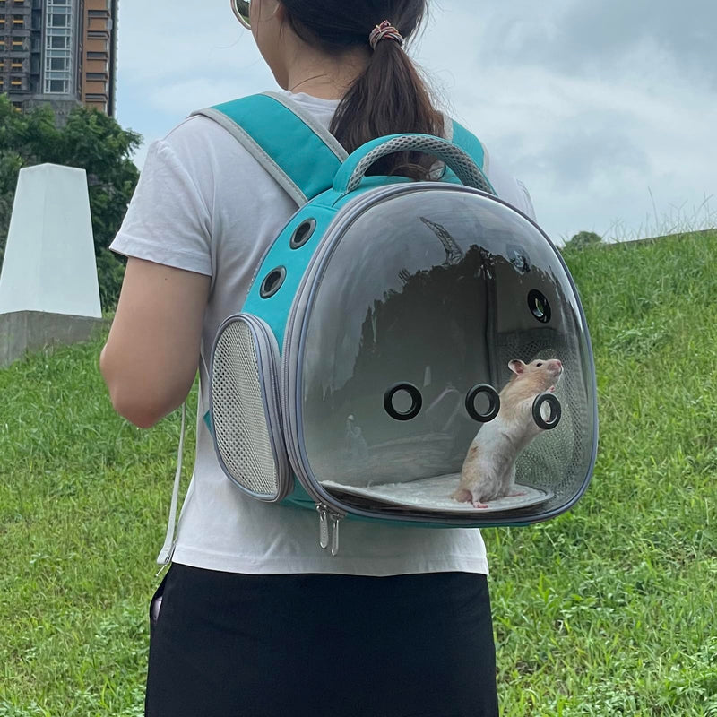 Portable Travel pet Backpack Carrier Hamster Bag Guinea Pig Bird Small Dog cat Turtle Carrier Rabbit Cage Squirrel Bearded Dragon Breathable Hangbag (Green) green - PawsPlanet Australia