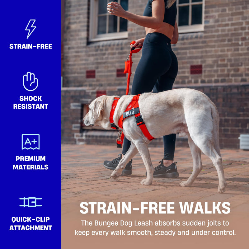 DF Co. Bungee Dog Leash | Strain Free & Shock Resistant for Control | Neoprene Padded Handle, Heavy-Duty Carabiner Clip, and D-Ring | Purple, Size Regular