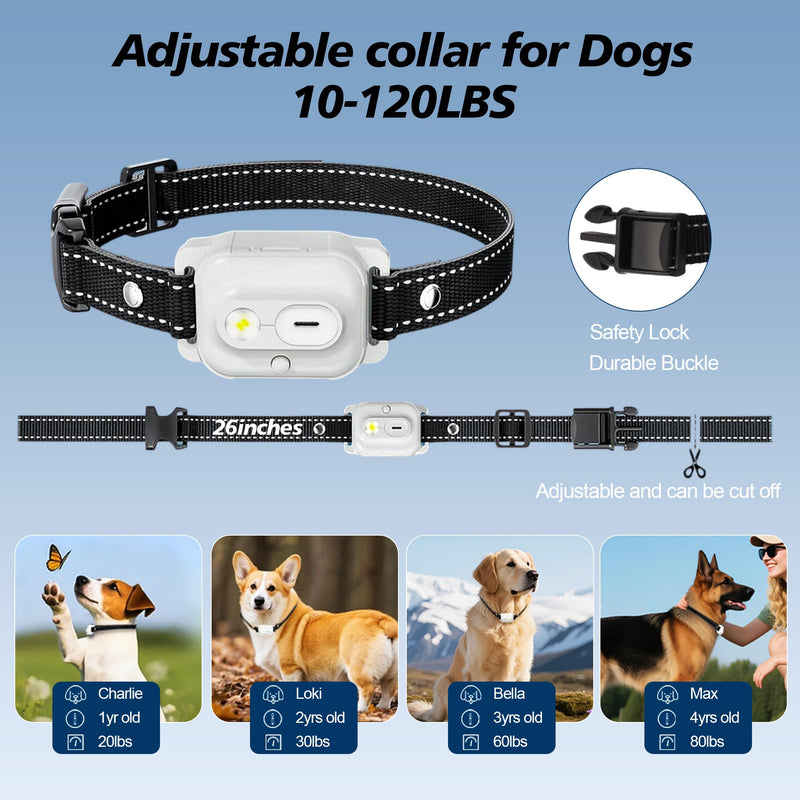 Dog Shock Collar - 3300 FT Remote Dog Training Collar, IP7 Waterproof, 4 Training Modes Lighting,Beep,Vibration,Safe Shock, Dual Channel E-Collar with Safety Lock for All Breeds (10-150 lbs) White - PawsPlanet Australia