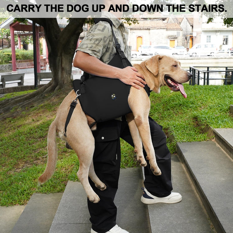 COODEO Dog Sling: Support & Rehabilitation Harness, Adjustable, Padded and Breathable, for Older, Disabled Dogs with Joint Problems or Stability Loss (Black, XL) Black