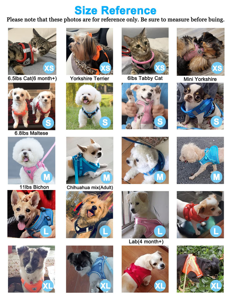 Dog Harness and Leash Set for Walking, Escape Proof Vest Harness with Soft Mesh, Adjustable Strap, Reflective Strips for Kitten Cats and Puppy Dogs XL(Chest:18.5"-20.5") Blue - PawsPlanet Australia