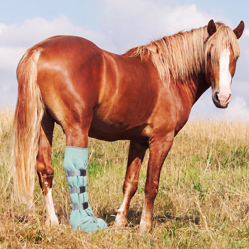 2 Pcs Hoof Soaking Boot for Horses Upgraded Extended Length Horse Hoof Soaker Heavy Duty Icing Treating Bucket with EVA Pad & Elastic Band Easy Use for Common Hooves Problems