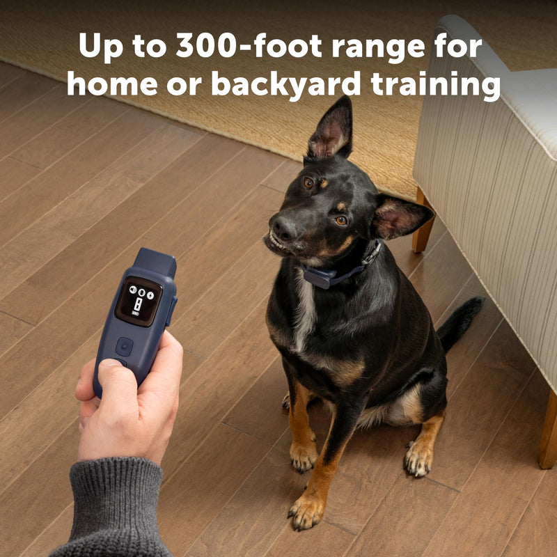PetSafe Basic Dog Trainer with Remote - Effective Dog Training - 19 Levels of Static Correction - Waterproof Collar - Rechargeable Training Collar - Compact Remote Transmitter Basic Trainer - PawsPlanet Australia