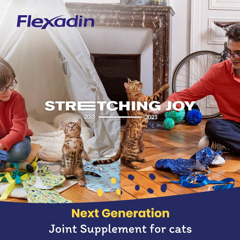 Flexadin Joint Care for Cats | Joint Supplement Chews for Cats | Aids Mobility & Flexibility | Glucosamine, Chondroitin, Omega 3 & Vitamin E | 60 Chews - PawsPlanet Australia