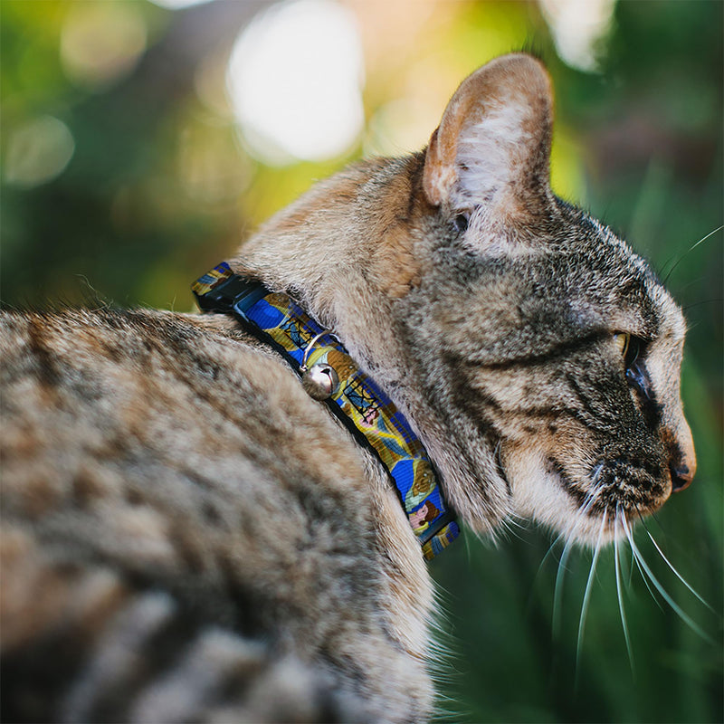 Buckle-Down Breakaway Cat Collar - Beast & Belle Ball Scene Poses - 1/2" Wide - Fits 8-12" Neck - Medium NARROW MEDIUM - Fits 8-12 Inch (0.5 Inch WIDE) - PawsPlanet Australia