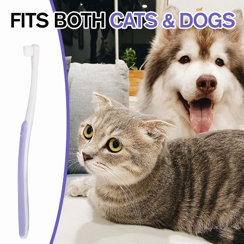 Small Dog Cat Toothbrush Pets Toothbrush Soft Bristle Cat Dental Brush Micro Head Puppy Tooth Brush Deep Clean Kit Portable Cats Dental Care for Puppy Kitten Daily Brushing - PawsPlanet Australia