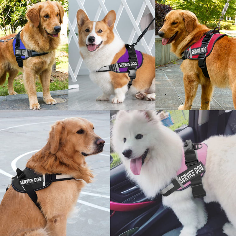 JSXD Dog Harness,No-Pull Service Dog Harness with Handle Adjustable Outdoor Pet Dog Vest 3M Reflective Nylon Material Vest for Breeds,Easy Control for Small Medium Large Dogs M Purple - PawsPlanet Australia