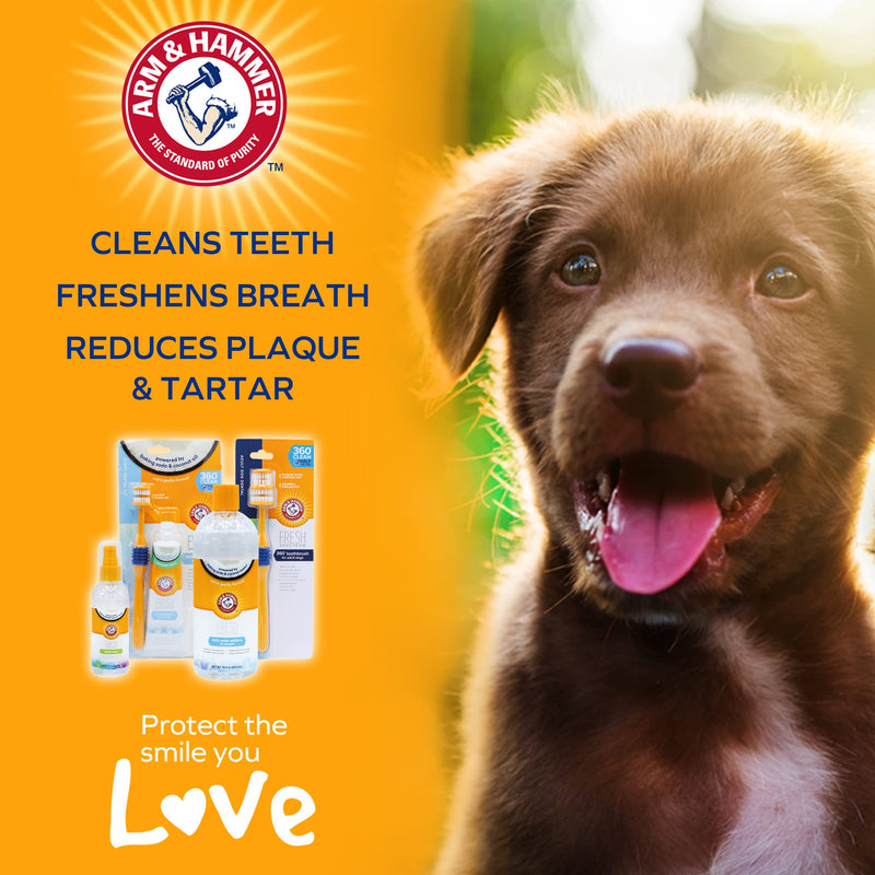 ARM & HAMMER Coconut Dental Care Kit for Dogs - Includes 360° Toothbrush, Coconut Mint Toothpaste & Finger Brush. Tartar Remover, Freshens Breath, Gums and Teeth Cleaning