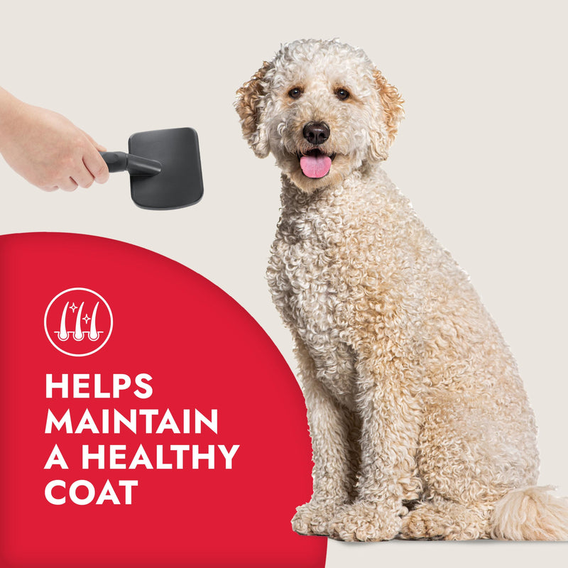 KONG Large Slicker Brush – Removes Loose Hair, Reduces Shedding, Comfortable Non-Slip Grip, Long Metal Pins, for Medium to Large Dogs with Medium to Long Coats, Red/Gray - PawsPlanet Australia