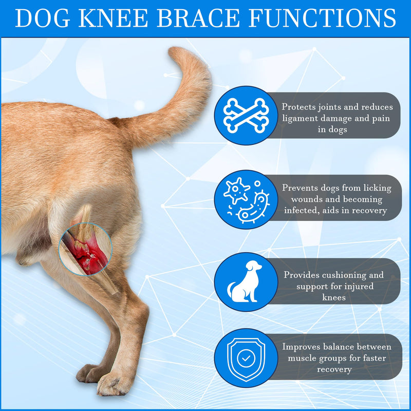 Dog Knee Brace for Torn Acl Hind Leg for Support with Cruciate Ligament Injury, Dog Acl Brace Hind Leg Better Recovery with Adjustable Dog Leg Braces for Relieve Joint Pain and Muscle Sore M (Medium) Medium - PawsPlanet Australia