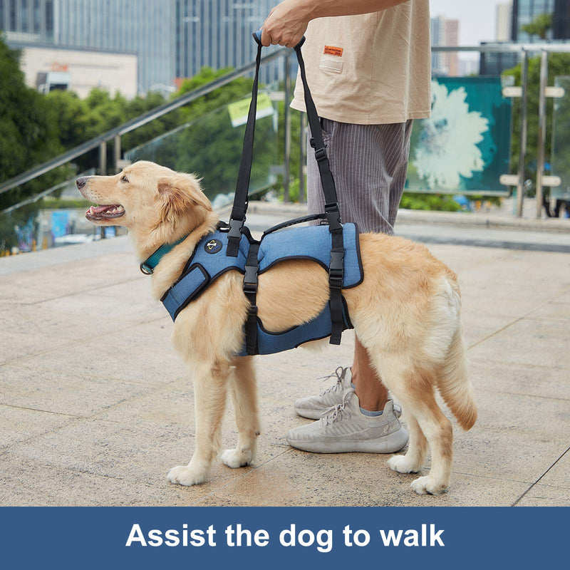 Coodeo Dog Lift Harness, Full Body Support & Recovery Sling, Pet Rehabilitation Lifts Vest Adjustable Breathable Straps for Old, Disabled, Joint Injuries, Arthritis, Paralysis Dogs Walk XLarge - PawsPlanet Australia
