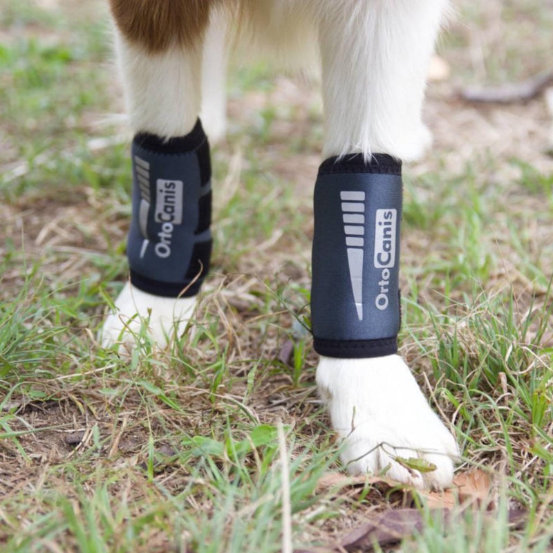 Ortocanis - Dog Leg Brace - Front Leg Brace for Dog - Arthritis, Ligament Injuries, Tendon Injuries or Agility Dogs - Made of Neoprene - Size XL 20-22 cm