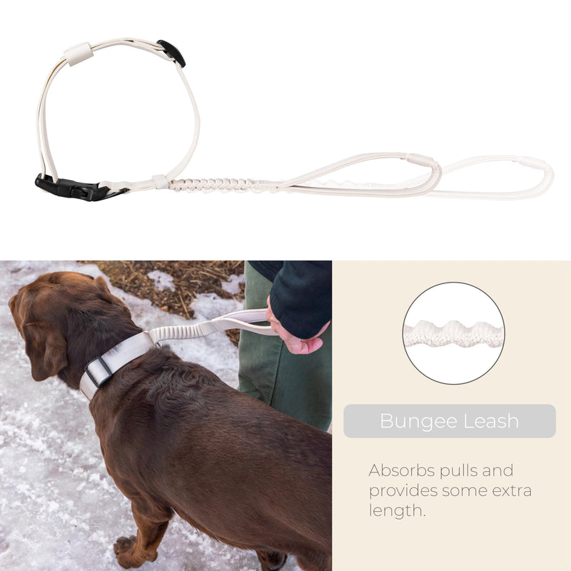 TUG Grab Collar | Integrated Traffic Leash Magnetically Attached for Quick Control (Large/Cream) Large Cream - PawsPlanet Australia