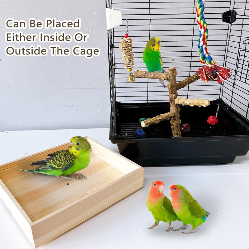 Hamiledyi Bird Perch Stand Playground Parrot Playground Tabletop Natural Wooden Perch PlayStand Platform Toys for Parrots Parakeets Lovebirds Canaries Cockatiels Conure - PawsPlanet Australia