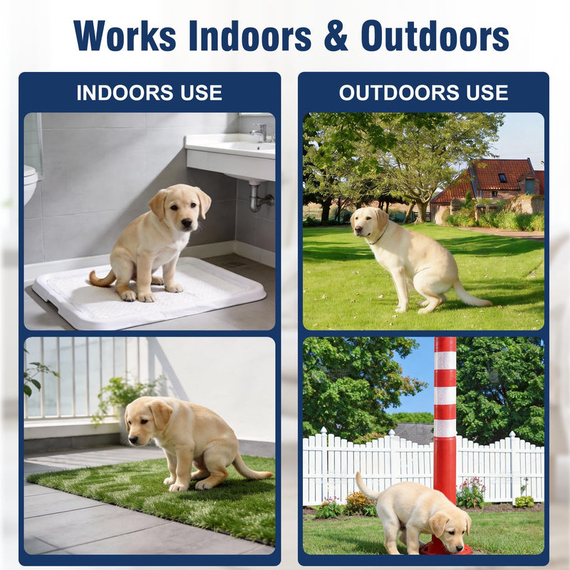 Potty Training Spray for Dogs, Go Here Dog Potty Training Spray & Dog Pee Spray, Puppy Potty Training Aid for Housebreaking, Natural Indoor & Outdoor Use, 5.07 Fl OZ-Blue Blue