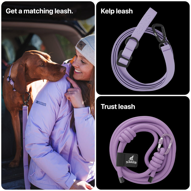 Säker Waterproof Dog Collar - Adjustable Lightweight Dog Collars for Medium Dogs - 1 Inch Durable Medium Dog Collar with Aluminum D-Ring, Daisy Chain and Quick-Release Buckle | Purple Dog Collar M Lilas - PawsPlanet Australia