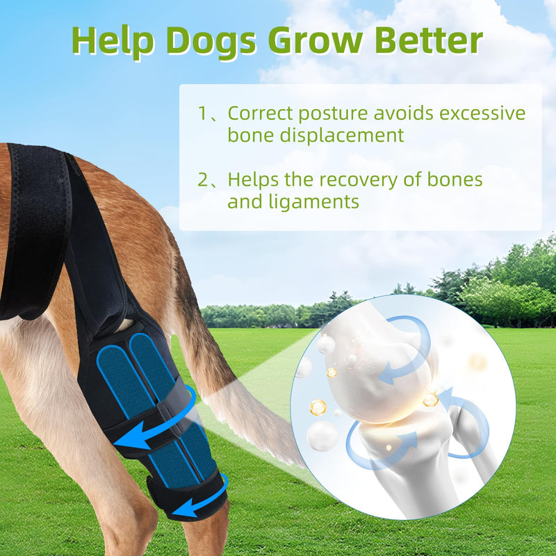 Adjustable Dog Knee Brace for Acl Support, Built-in Hard Support to Recovery and Injury Prevention - Perfect for Torn Ligaments, Knee, Hock, and Ankle Injuries - (M Size) M