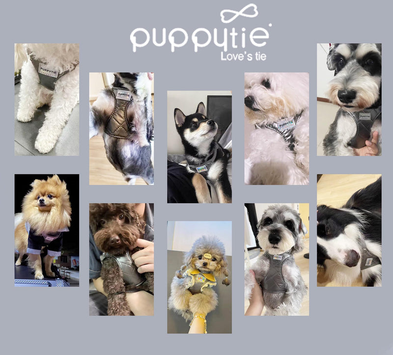 Puppytie No Pull xs Dog Harness with Multifunction Dog Leash,Soft Adjustable No Choke Escape Proof Pet Harness Vest,Glossy Grey,XXS Xmas-Grey XXS(2.2-6lb）