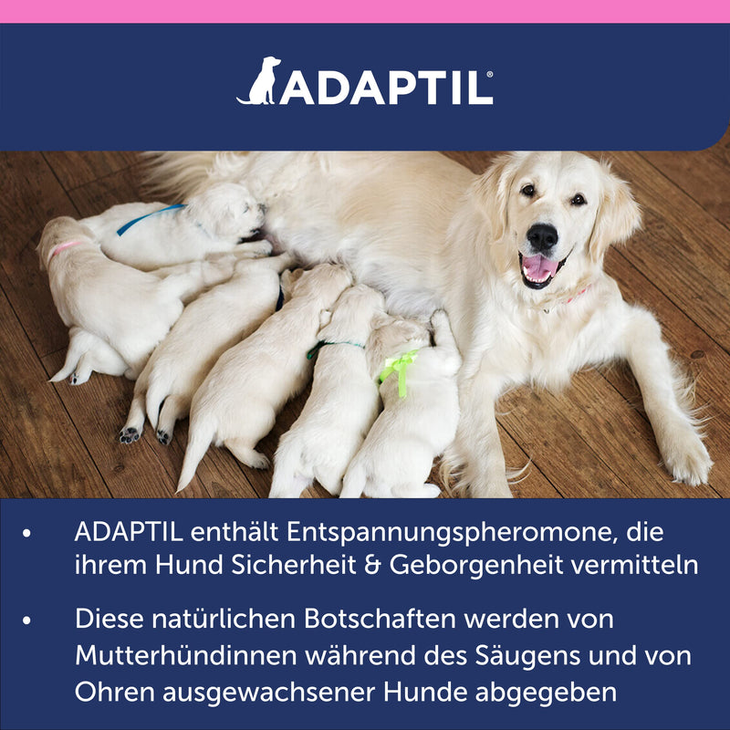 ADAPTIL Junior Puppy Collar - Blue, Size S, For Puppies Up To 37.5kg/15kg, Supports Acclimatization & Training, Uses Dog Appeasing Pheromones, Recommended For All Breeds pheromone collar