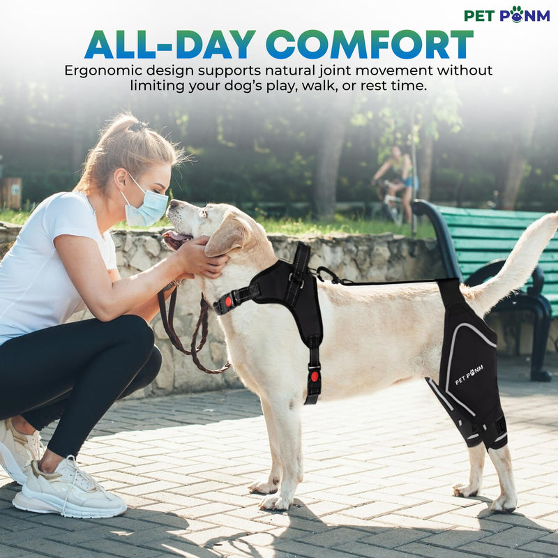 Petpanm- Adjustable Dog Knee Brace- Right Hind Leg with Integreted Harness- Premium Support for Torn ACL, Sprains & Strains Recovery, Enhances Mobility, Comfortable Neoprene - (XLarge). Right leg XLarge