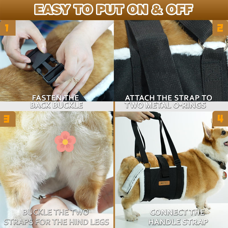 Dog Lift Harness Sling for Large Dogs - Adjustable Rear Leg Support with Padding & No-Slip Back Fixed Buckle, Hip Dysplasia/ACL/TPLO Surgery Recovery Aid, Dog Harness for Injured,Disabled/Senior Dogs L - PawsPlanet Australia