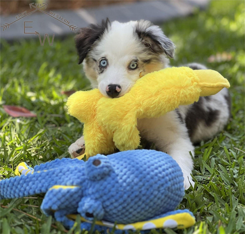 Duck and Octopus Dog Toys - Crinkle Dog Toy, Squeaky Dog Toy, Plush Dog Toy, No Stuffing Dog Toy, Interactive Boredom Busy Toy, Calming Cuddle Dog Toy, Puppy Play Toy - Large, Medium, Small Dog Gifts - PawsPlanet Australia
