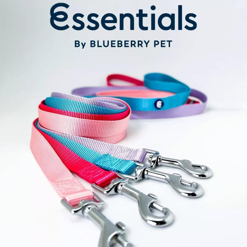 Blueberry Pet Essentials Royal Blue Dog Leash for Small -5' * 5/8" Dogs | Heavy Duty Nylon Lead | Lightweight Puppy & Cat Leash for Walking & Training