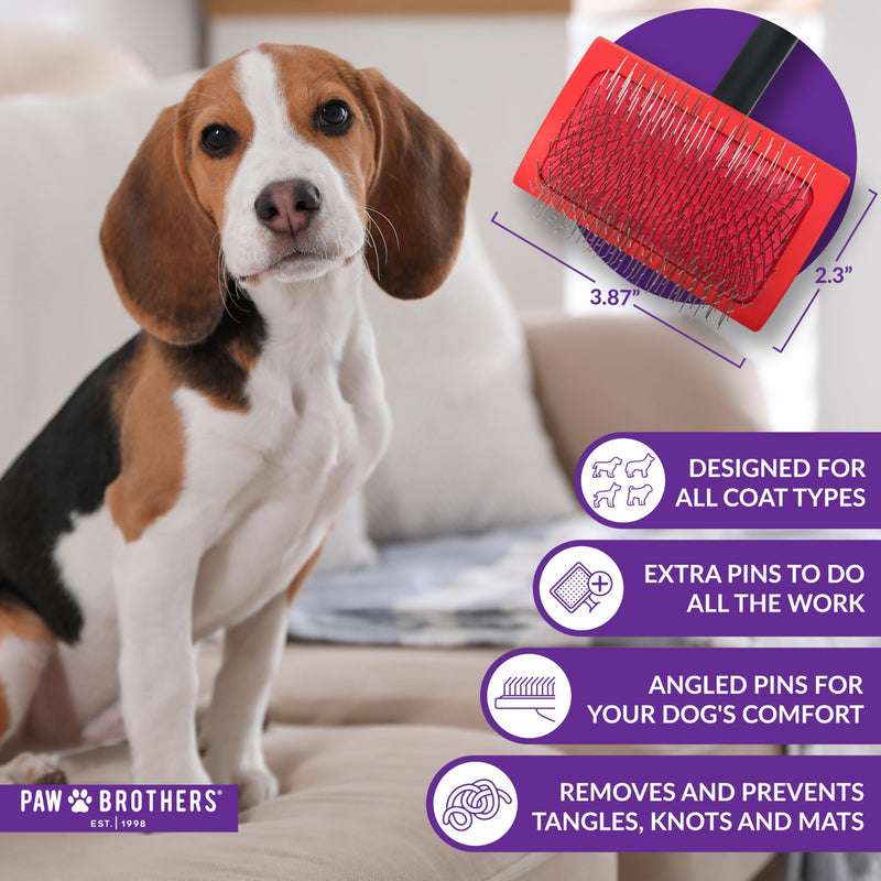 Paw Brothers Medium Slicker Brush for Doodles, Goldendoodles, Poodles - Grooming Brush for Long and Short Haired Dogs - PawsPlanet Australia